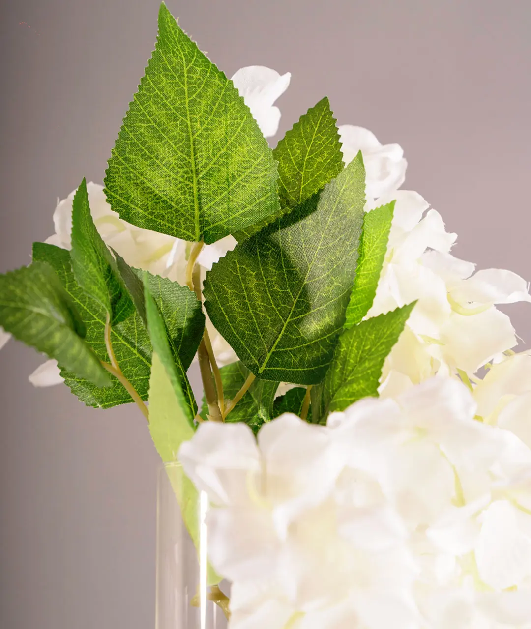 Flower Plastic Wisteria Guia