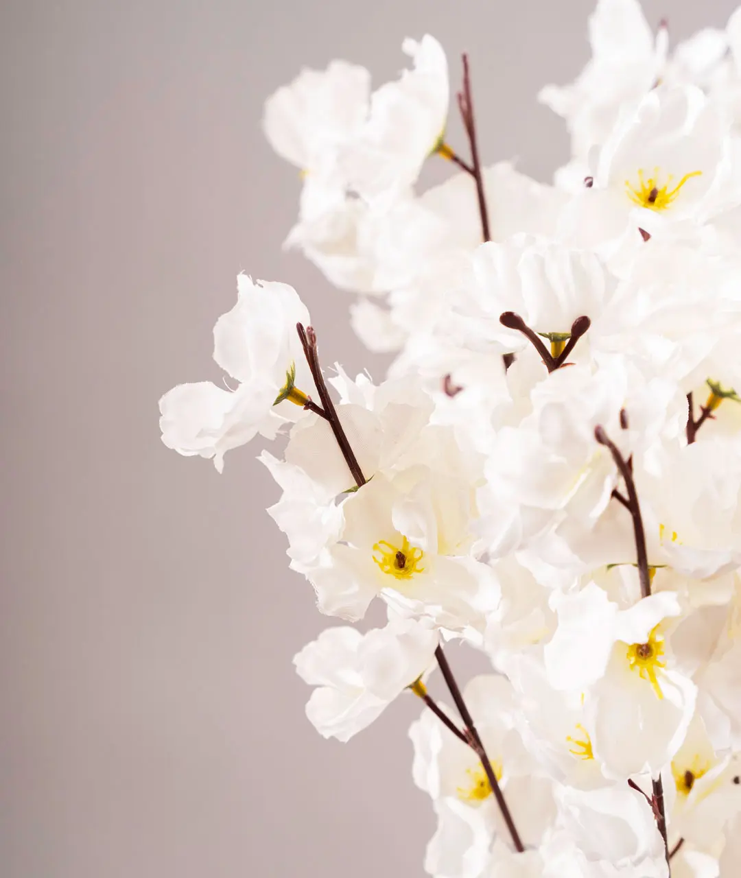 Flower Plastic Cherry Blossom