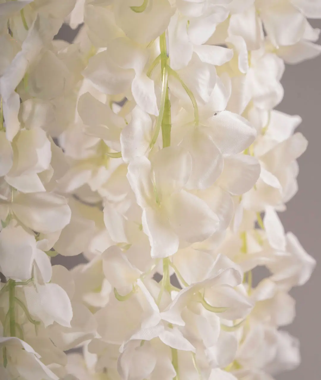 Flower Plastic Wisteria
