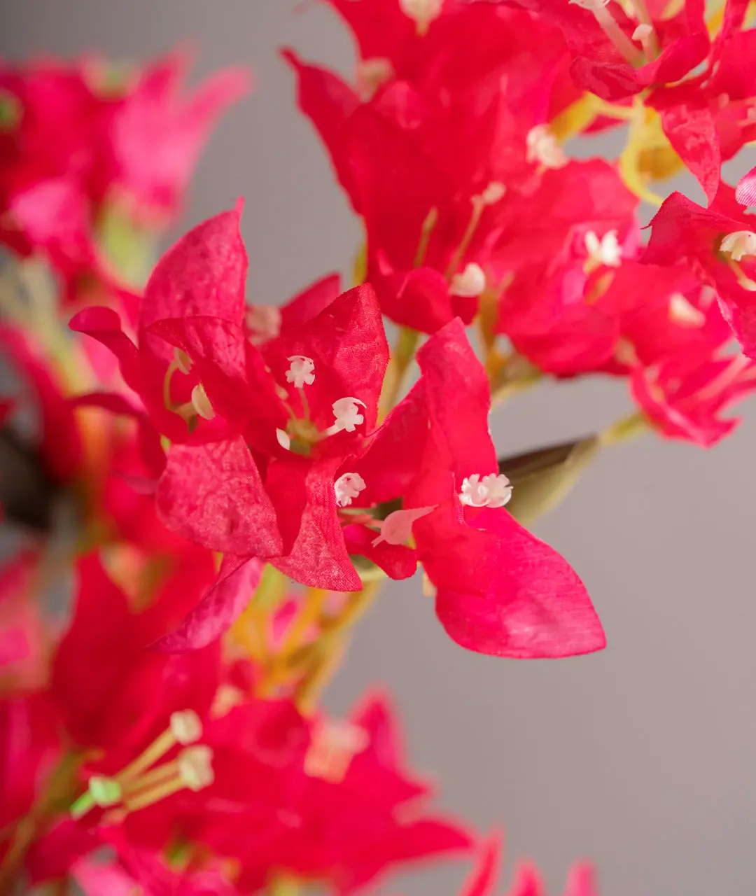 Flower Plastic Bugambilia Pink Intense
