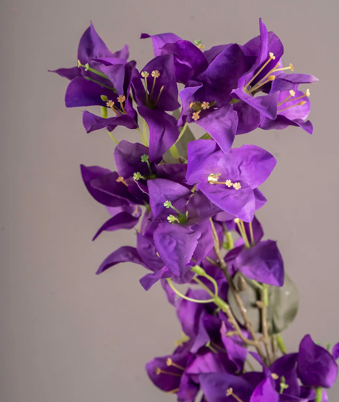 Flower Plastic Bugambilia Lila