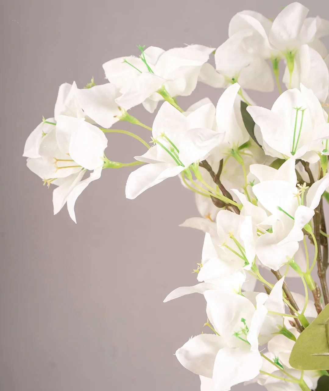 Flower Plastic Bugambilia White