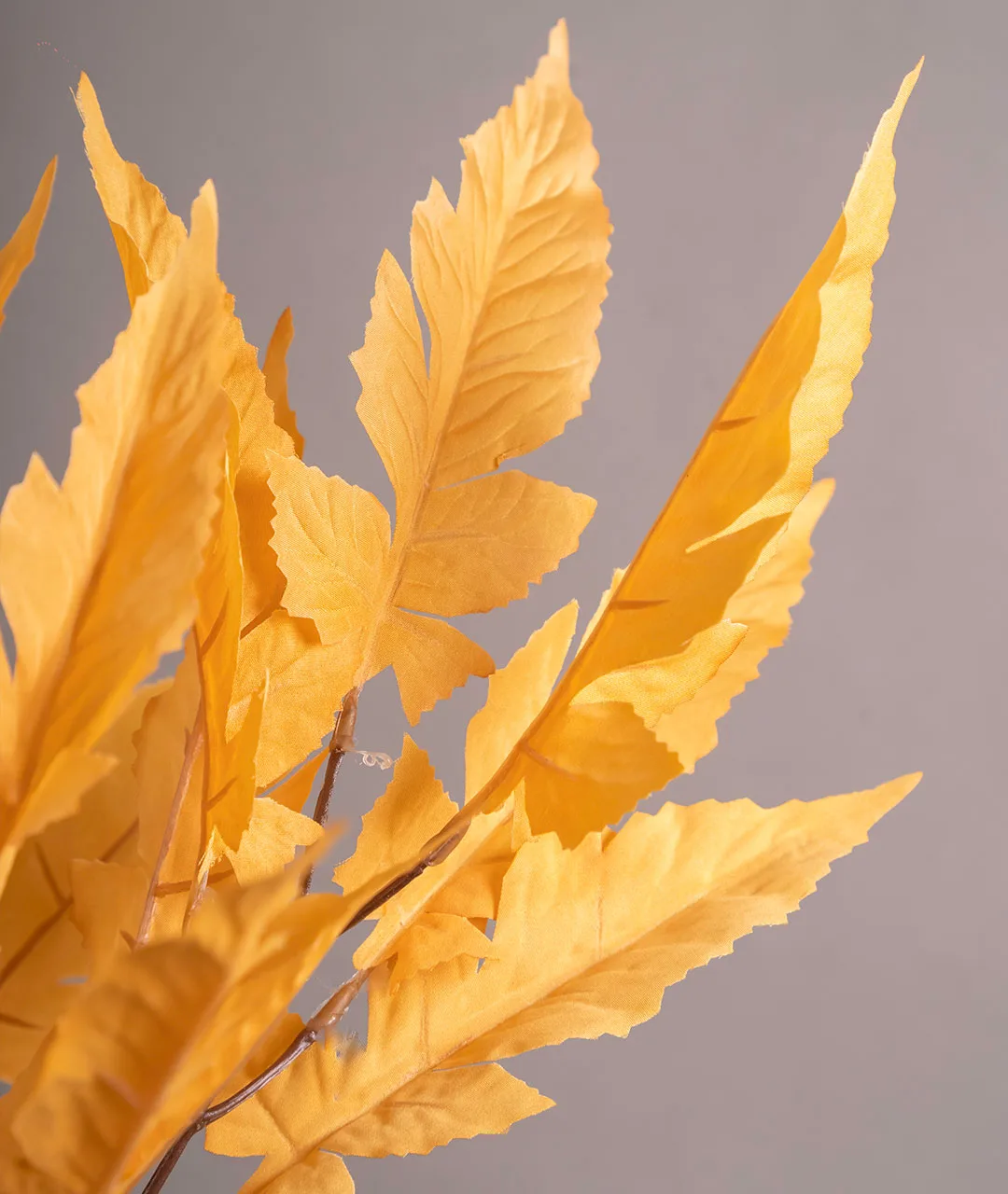 Flower Plastic Autumn