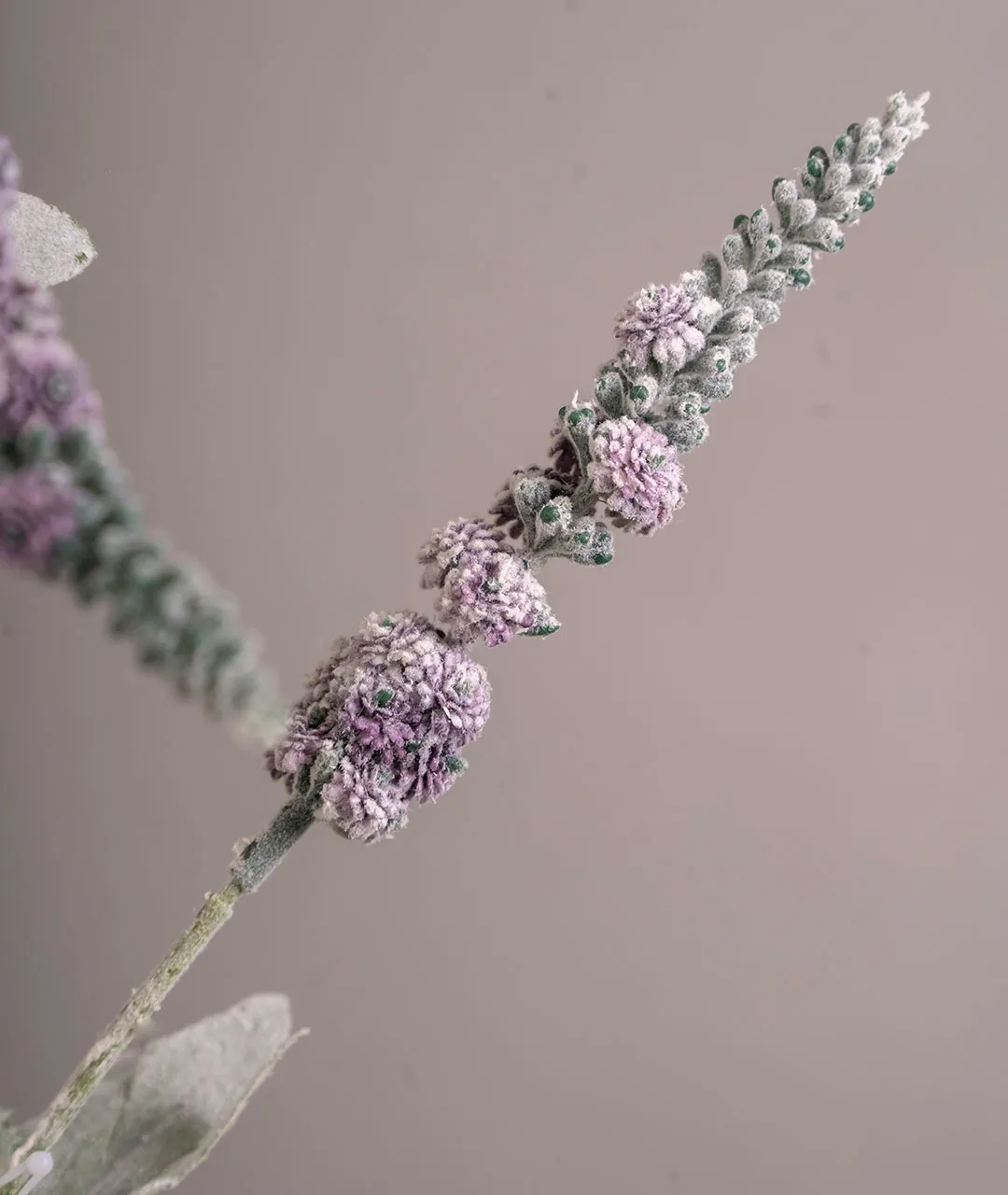 Flower Plastic Liriope