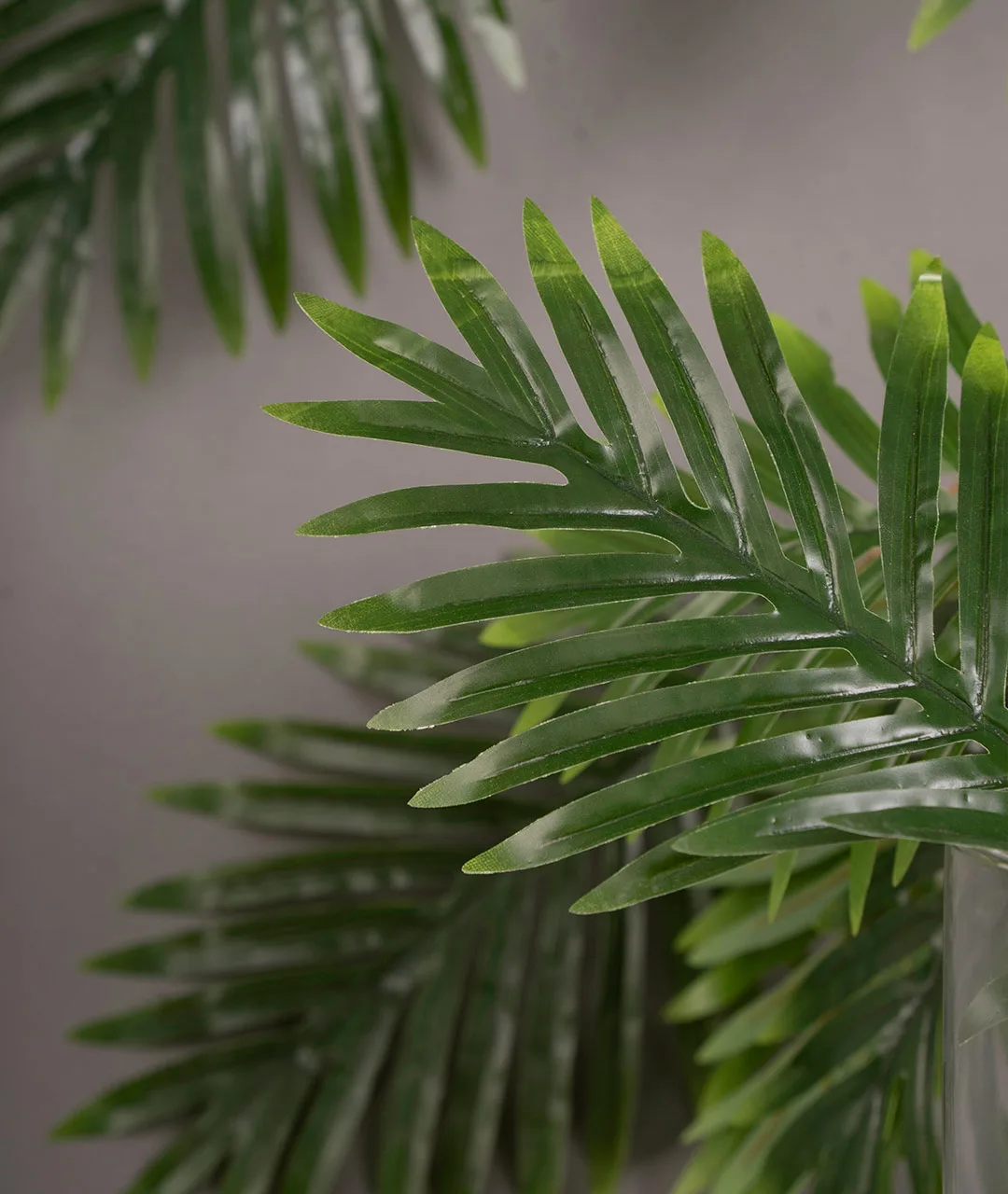 Flower Plastic Palma