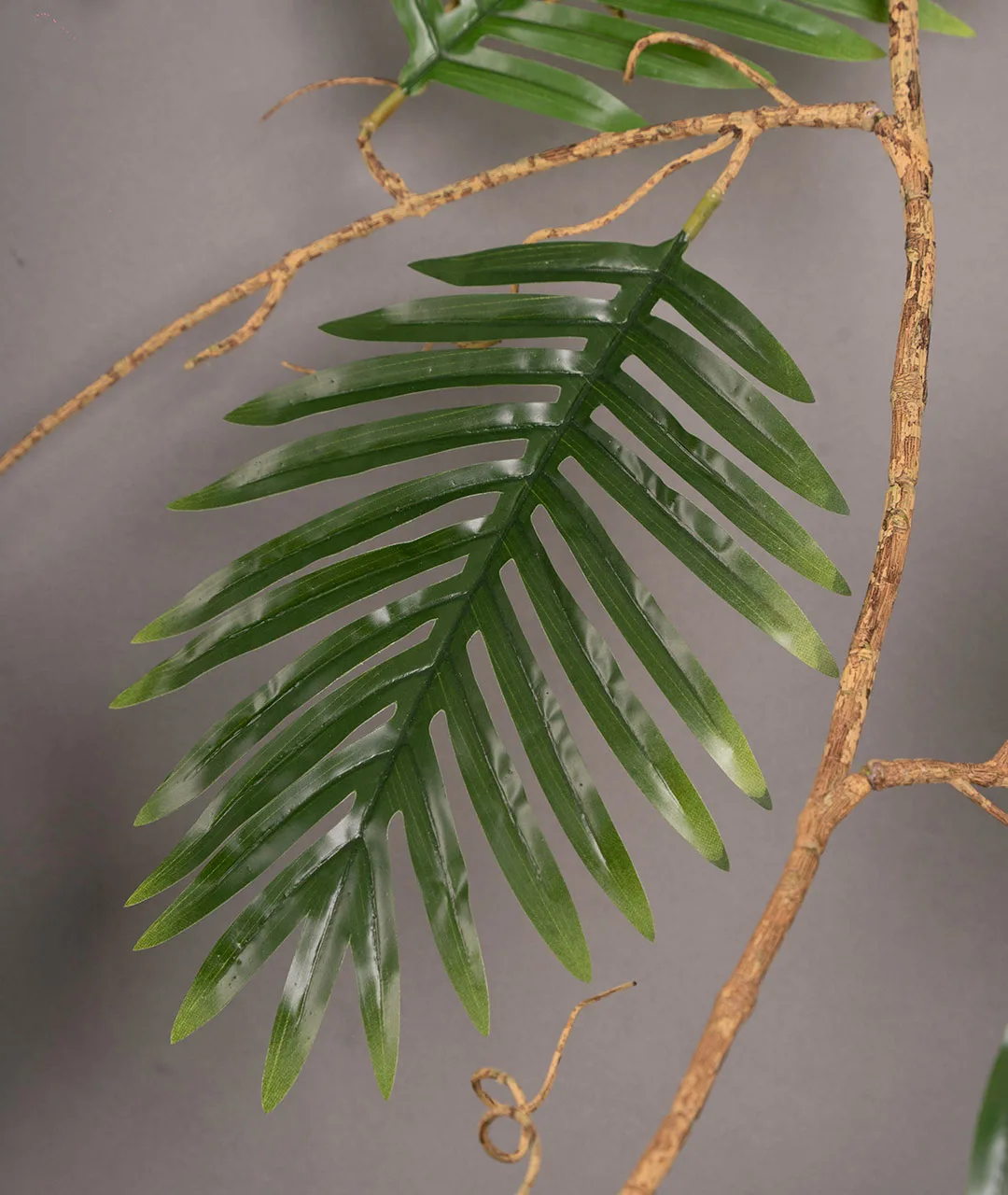 Flower Plastic Palma