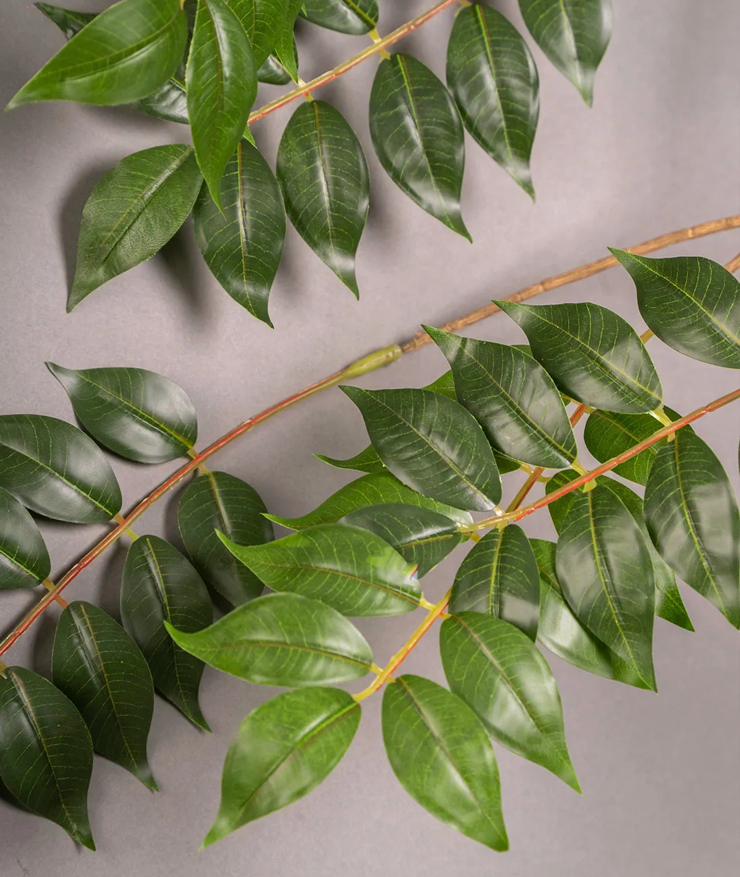 Flower Plastic Follaje